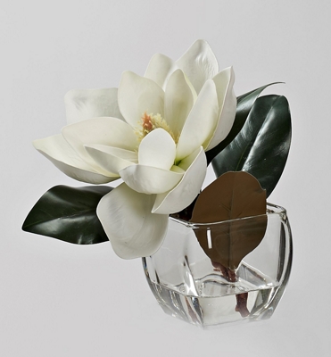 White Eva Magnolia Stem in Square Glass Vase