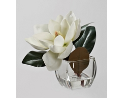 White Eva Magnolia Stem in Square Glass Vase