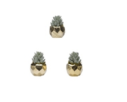 Set of 3 - Flocked Aloe in Antique Gold Ceramic Planter