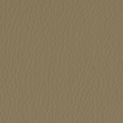Safari