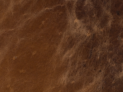 Brown Leather