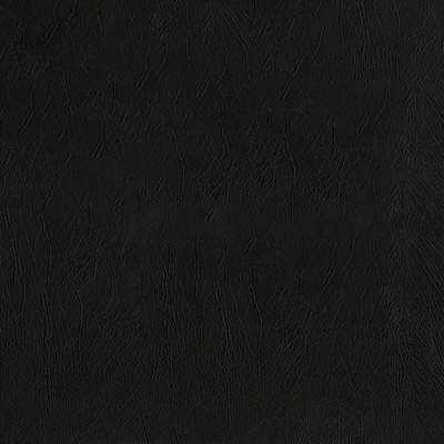 Ascent Black
