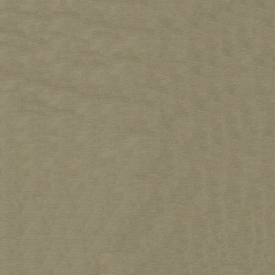 Intrigue Stucco