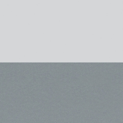 Fashion Grey Top/Silver Frame