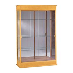 Traditional Display Case with Mirror Backing