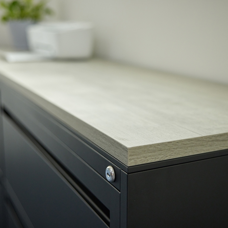 Gov24_Carbon_223494_DTL_233?