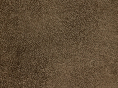 Brown Leather