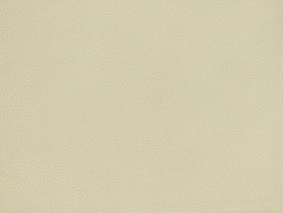 White Leather