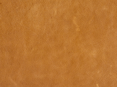 Brown Leather