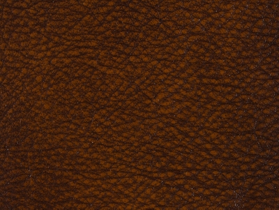 Brown Leather