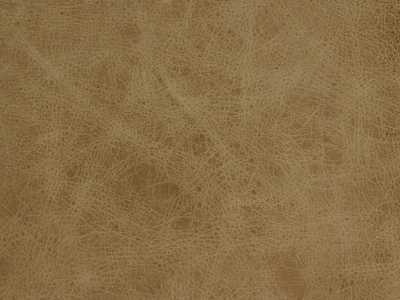 Dark Brown Leather
