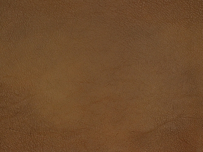 Brown Leather