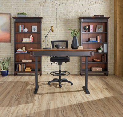 Set of discount two desk chairs