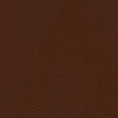 Cinnamon