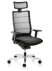Executive Task Chair with Mesh Back