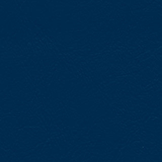 Navy Vinyl