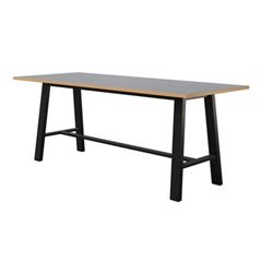 Bayside 9' Standing-height Table With Premium Laminate - 108"Wx42"D