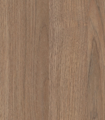 Beech