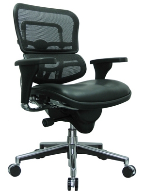 Ergohuman Mid Mesh Back Leather Seat Chair