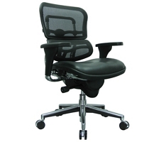Ergohuman Mid Mesh Back Leather Seat Chair