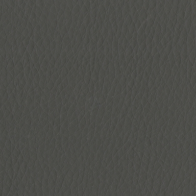 Dillon Graphite