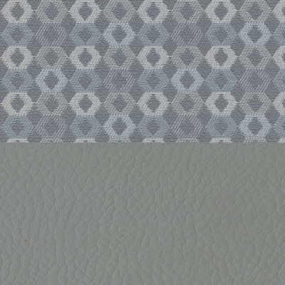 Rise Fog/Dillon Lucid