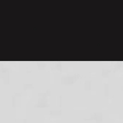 Black/Clear