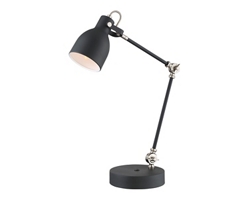 Signature Accents Two Shaft Desk Lamp