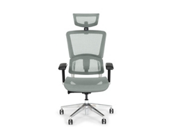 Zola Mesh High-Back Office Chair with Removable Headrest