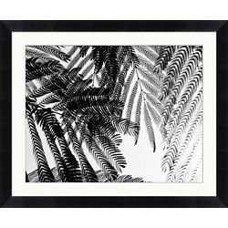 Fernbrush Palm Framed Photography - 34"W x 28"H