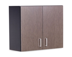 Upper Wall Mounted Two Door Storage Cabinet