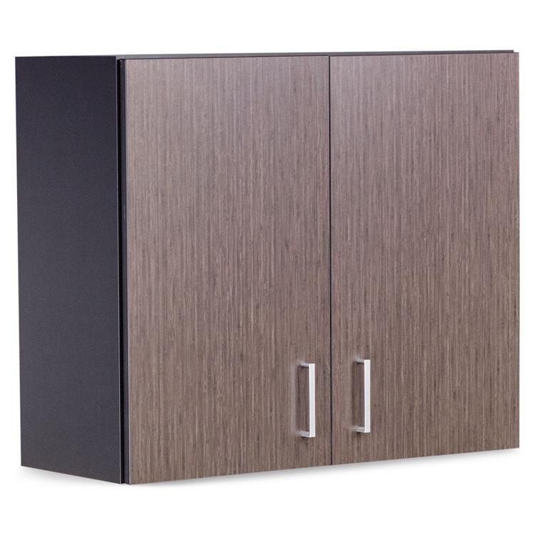 Upper Wall Mounted Two Door Storage Cabinet