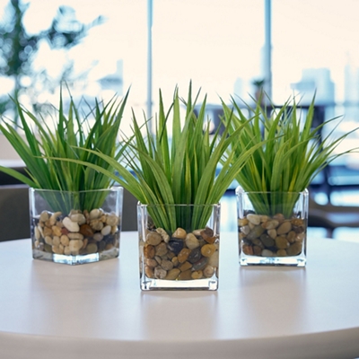 Grass Plants in Glass Pots with Faux Water