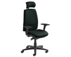 High Back Ergonomic Executive Chair with Headrest