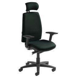 High Back Ergonomic Executive Chair with Headrest