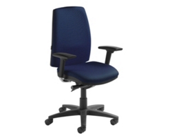 Mid Back Ergonomic Executive Chair