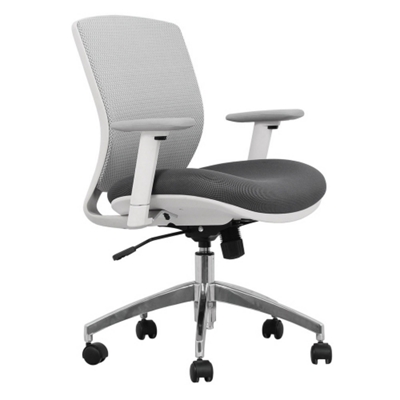 Mesh Ergonomic Task Chair with White Frame