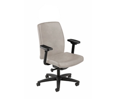 Mid Back Leather Chair