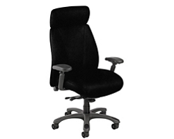 Fabric Ergonomic High Back Chair with Graphite Frame