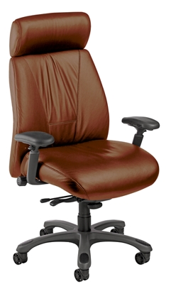 Ergonomic High-Back Chair with Graphite Frame