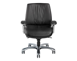 Leather Ergonomic Chair with Chrome Frame