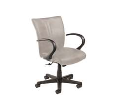 Mid Back Leather Manager's Chair