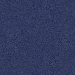 Pacific Blue