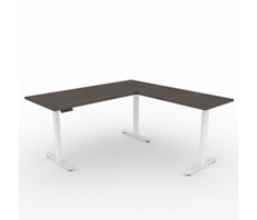 72x78 Height Adjustable Desk