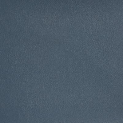 Dillon Blue Vinyl/Black Nylon Base