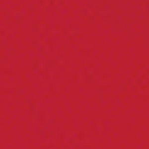 Fire Truck Red