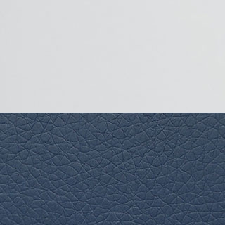 White/Ocean