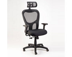 Mesh Executive Chair with Headrest