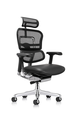 Ergohuman High Mesh Back Leather Seat Executive Chair with Headrest