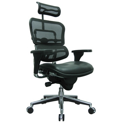 Ergohuman High Mesh Back Leather Seat Executive Chair with Headrest